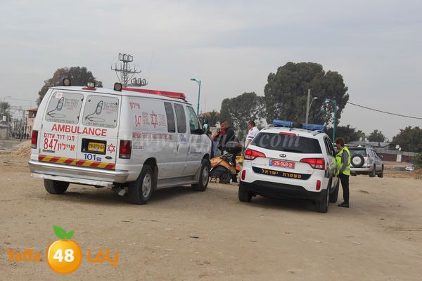 ludis3af0114 (3).JPG